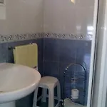 Apartment Bonanza *